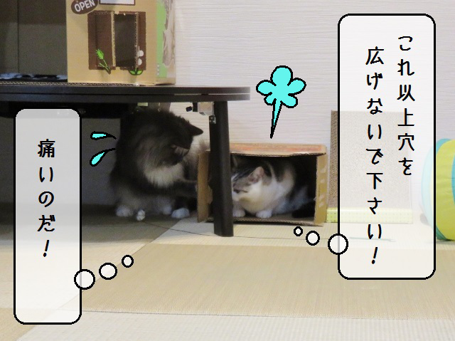 f:id:suzumesuzume:20191203213647j:plain