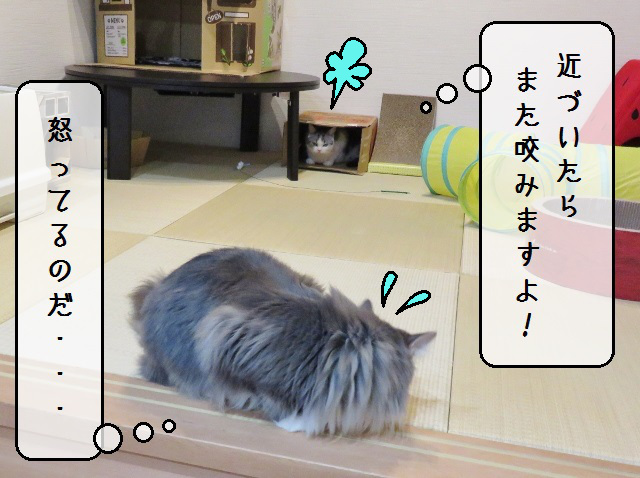 f:id:suzumesuzume:20191203213657j:plain