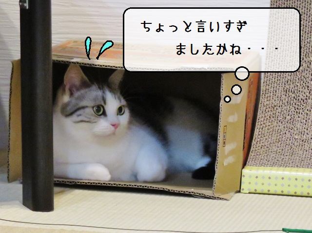 f:id:suzumesuzume:20191203213708j:plain