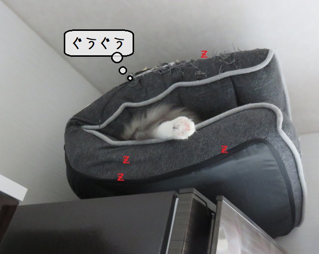 f:id:suzumesuzume:20200107152423j:plain