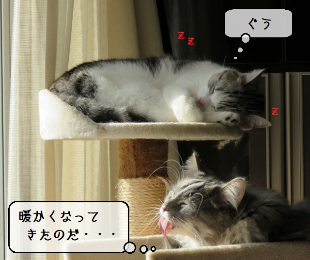 f:id:suzumesuzume:20200209150702j:plain f:id:suzumesuzume:20200209150702j:plain