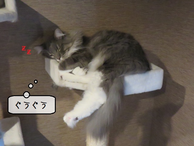 f:id:suzumesuzume:20200213201458j:plain