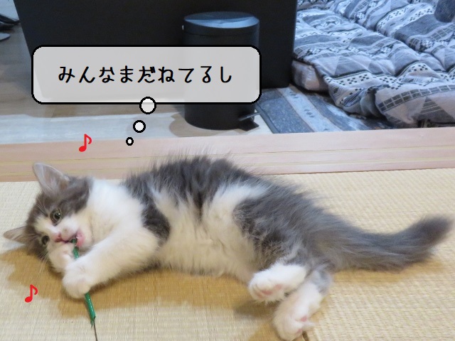 f:id:suzumesuzume:20200213201511j:plain