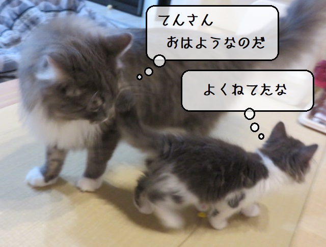 f:id:suzumesuzume:20200213201519j:plain