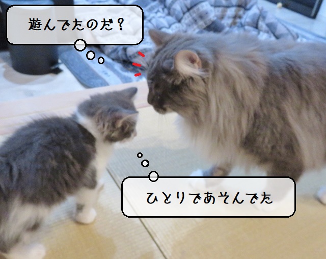 f:id:suzumesuzume:20200213201526j:plain