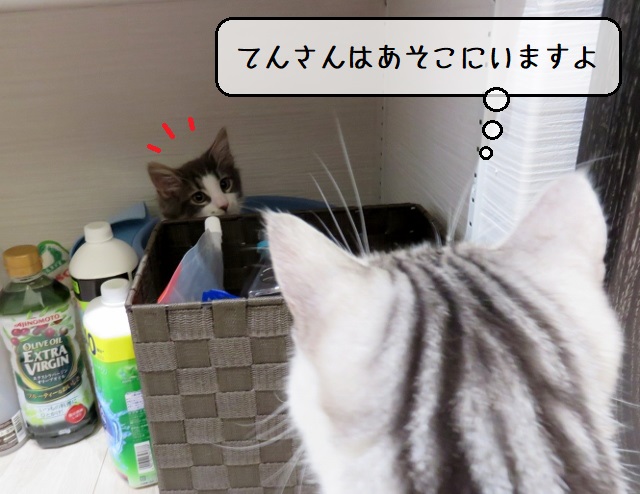 f:id:suzumesuzume:20200214164742j:plain