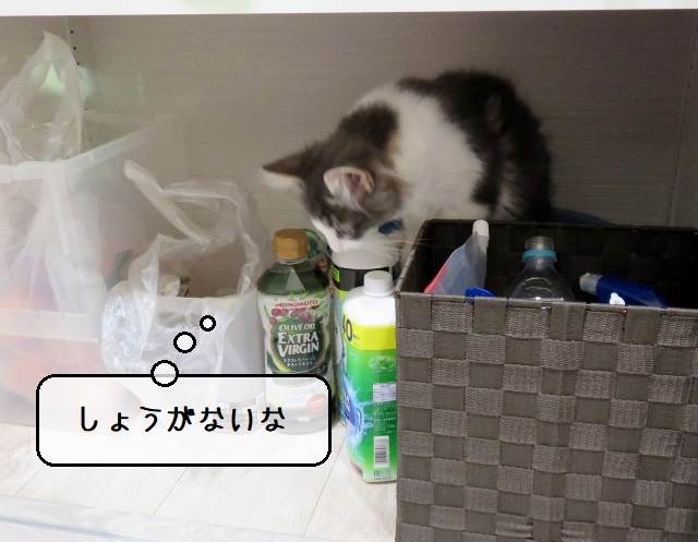 f:id:suzumesuzume:20200214164816j:plain
