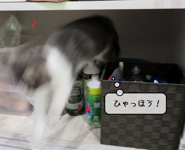 f:id:suzumesuzume:20200214164825j:plain