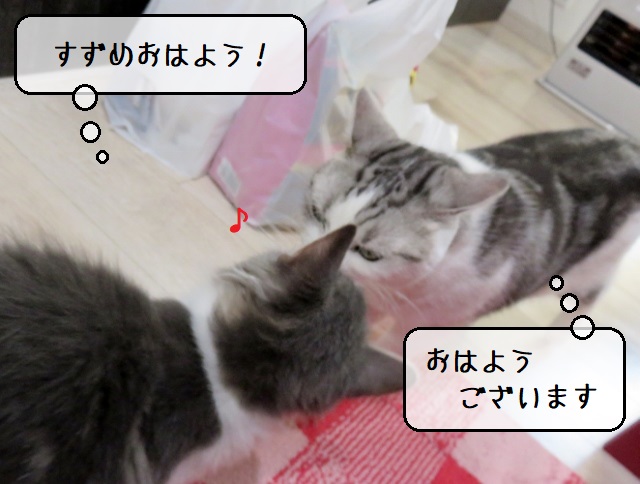 f:id:suzumesuzume:20200214164830j:plain