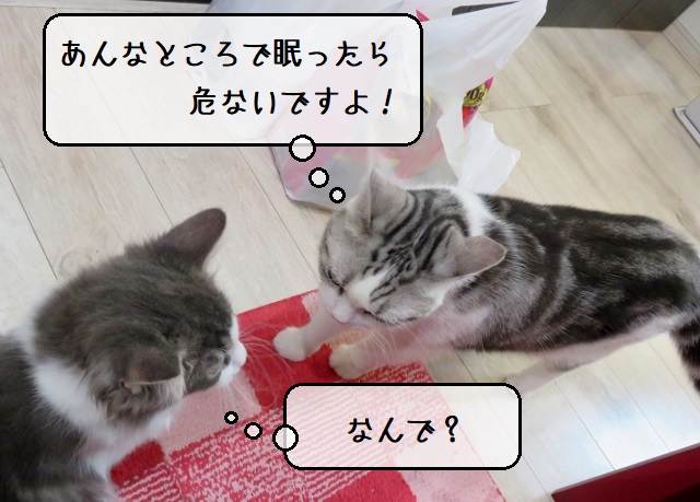 f:id:suzumesuzume:20200214164834j:plain