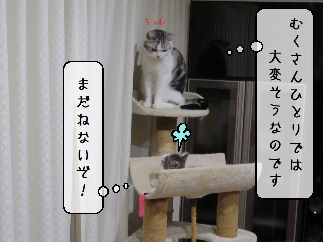 f:id:suzumesuzume:20200218193642j:plain