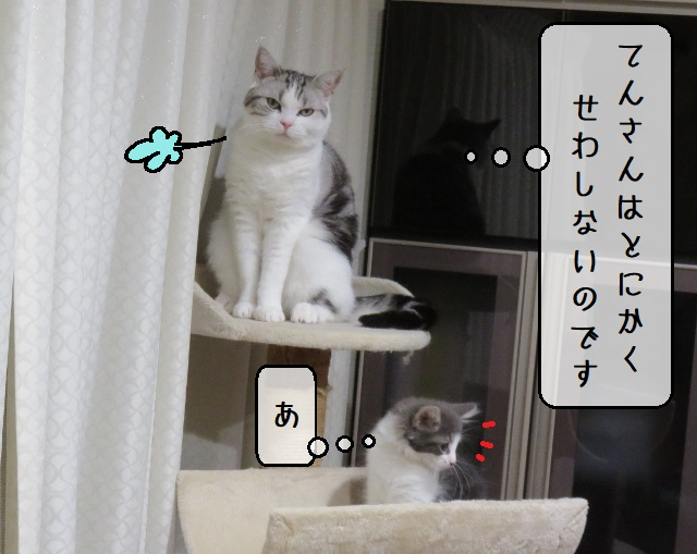 f:id:suzumesuzume:20200218193649j:plain