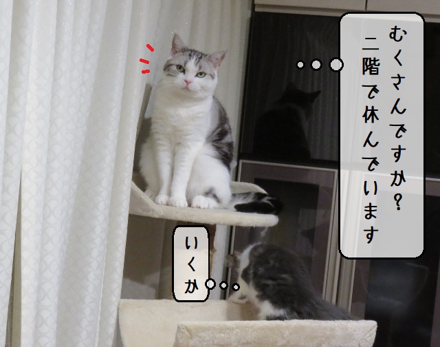 f:id:suzumesuzume:20200218193656j:plain