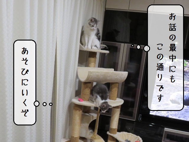 f:id:suzumesuzume:20200218193701j:plain