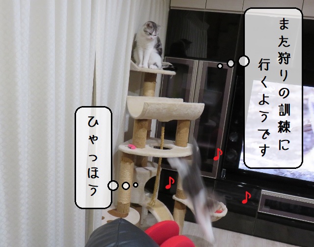 f:id:suzumesuzume:20200218193708j:plain