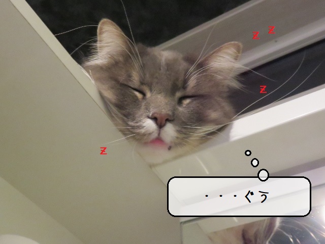 f:id:suzumesuzume:20200219153745j:plain f:id:suzumesuzume:20200219153745j:plain