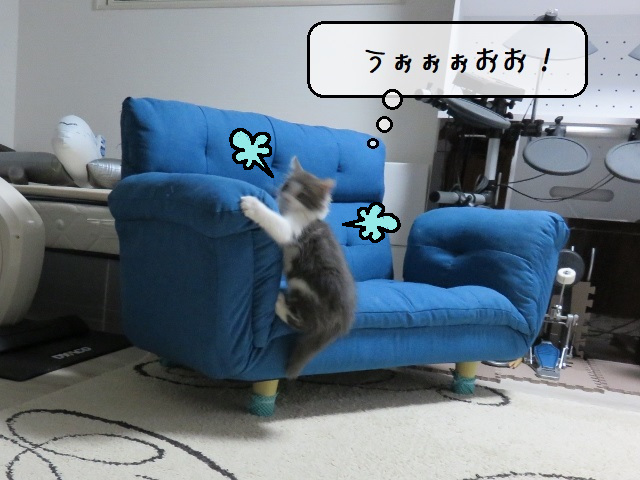 f:id:suzumesuzume:20200219184525j:plain