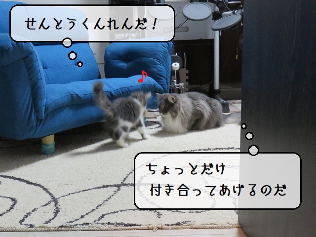 f:id:suzumesuzume:20200219184530j:plain