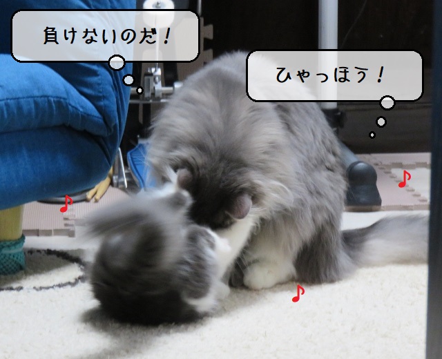 f:id:suzumesuzume:20200219184536j:plain