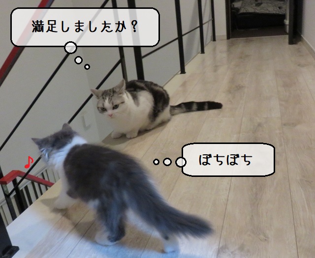 f:id:suzumesuzume:20200219184543j:plain