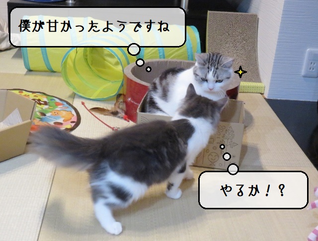 f:id:suzumesuzume:20200318203509j:plain