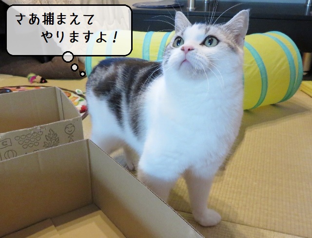 f:id:suzumesuzume:20200413203308j:plain