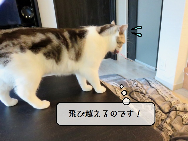 f:id:suzumesuzume:20200413203315j:plain