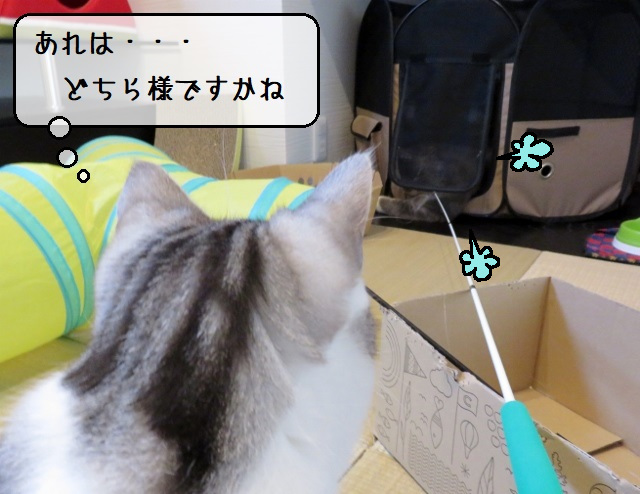 f:id:suzumesuzume:20200413203340j:plain