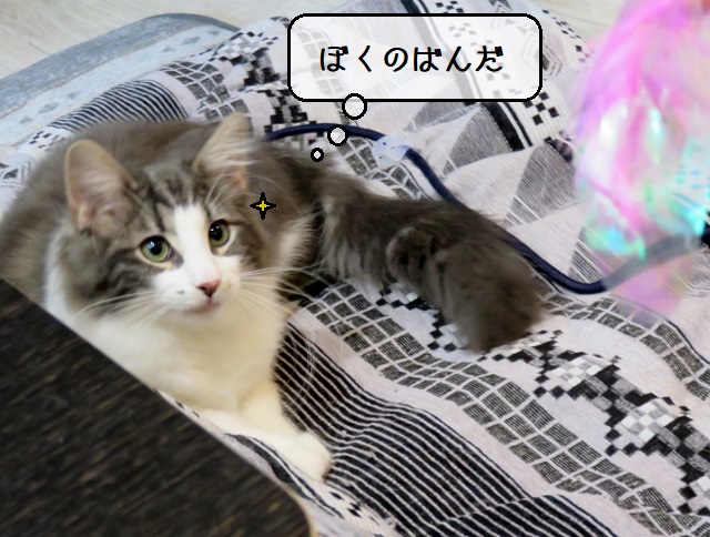 f:id:suzumesuzume:20200413203358j:plain