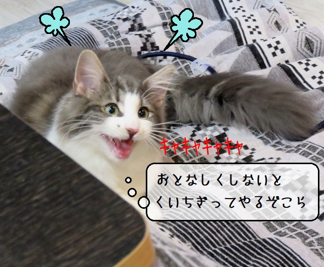 f:id:suzumesuzume:20200413203406j:plain