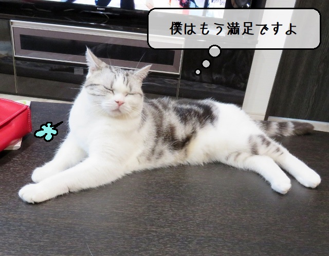 f:id:suzumesuzume:20200413203413j:plain