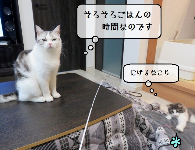 f:id:suzumesuzume:20200413203426j:plain