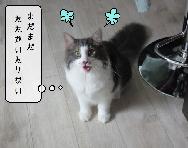 f:id:suzumesuzume:20200622150827j:plain