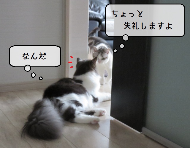 f:id:suzumesuzume:20200826150044j:plain
