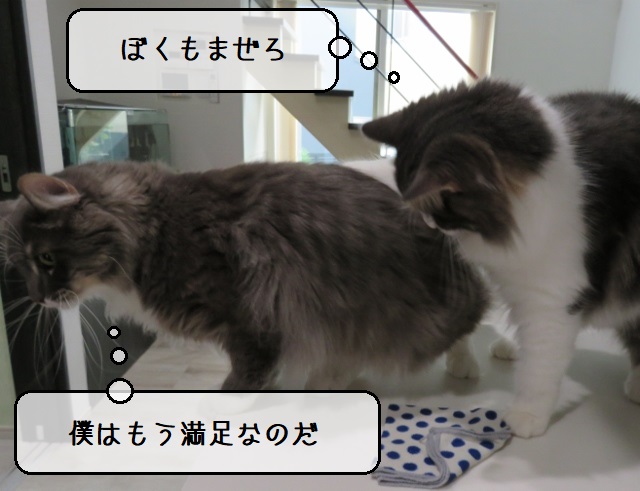 f:id:suzumesuzume:20200901154418j:plain