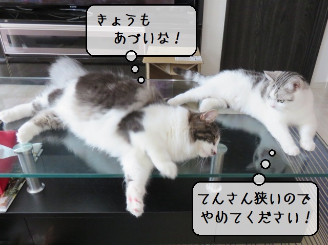 f:id:suzumesuzume:20200907142747j:plain