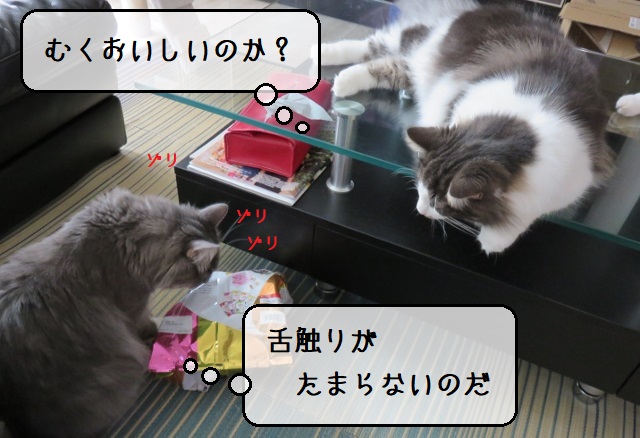 f:id:suzumesuzume:20200907142753j:plain