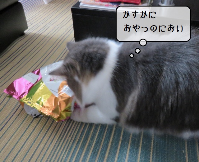 f:id:suzumesuzume:20200907142759j:plain