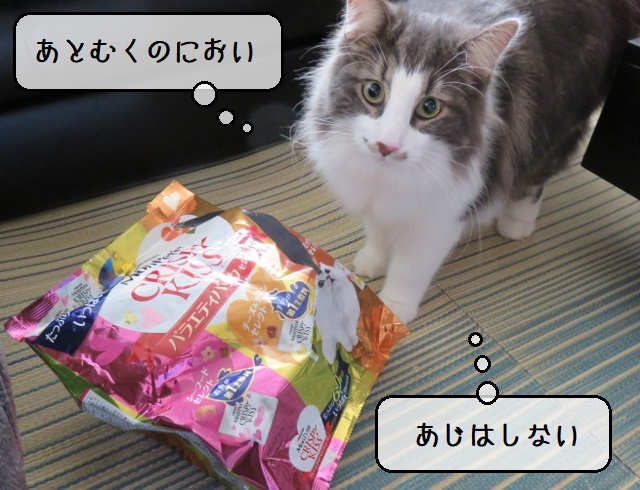 f:id:suzumesuzume:20200907142806j:plain