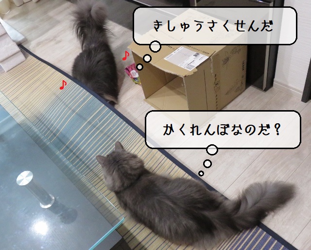 f:id:suzumesuzume:20200928152547j:plain f:id:suzumesuzume:20200928152547j:plain