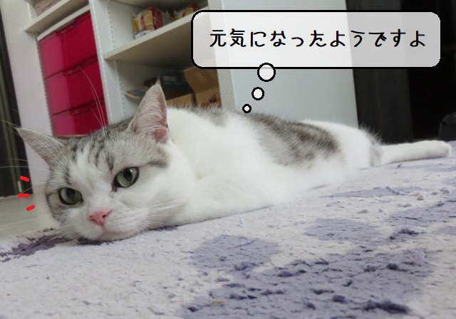 f:id:suzumesuzume:20200928152553j:plain f:id:suzumesuzume:20200928152553j:plain