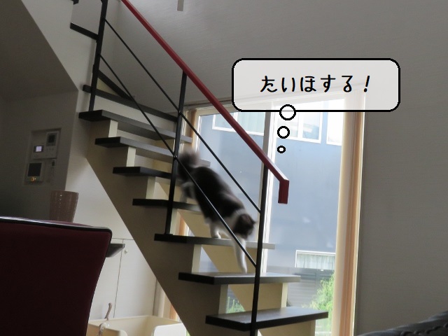 f:id:suzumesuzume:20200928152613j:plain f:id:suzumesuzume:20200928152613j:plain