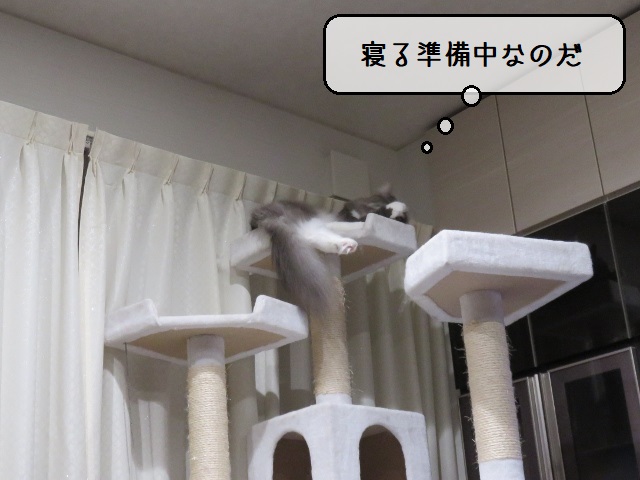 f:id:suzumesuzume:20200929162350j:plain