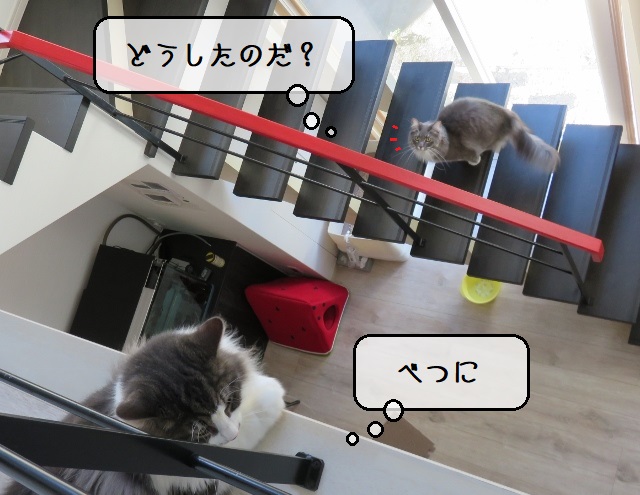 f:id:suzumesuzume:20201013164652j:plain f:id:suzumesuzume:20201013164652j:plain