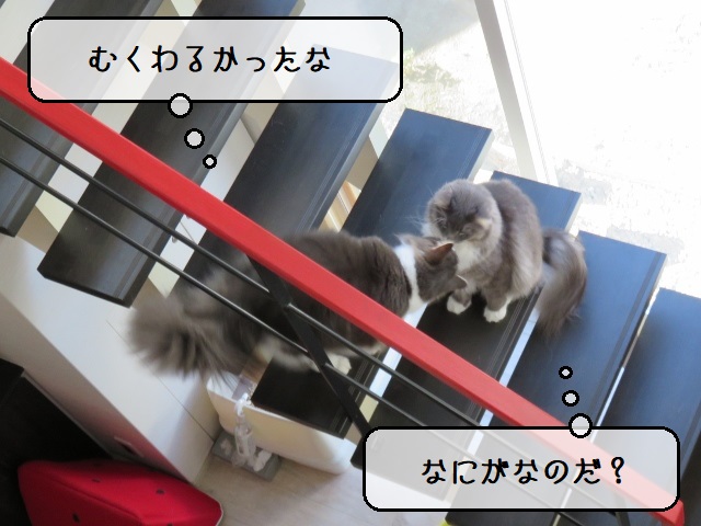 f:id:suzumesuzume:20201013164705j:plain f:id:suzumesuzume:20201013164705j:plain