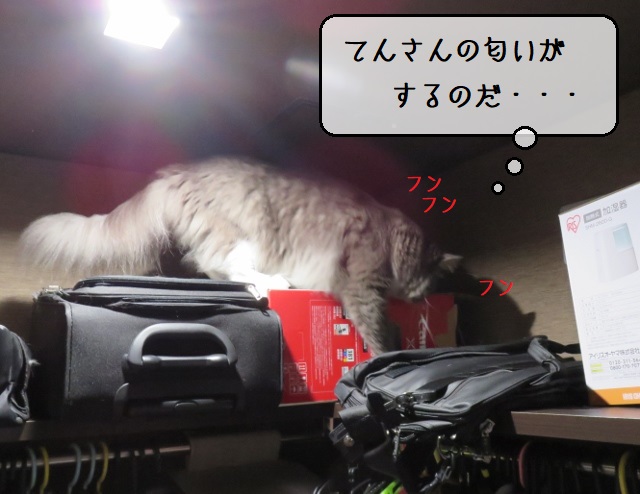 f:id:suzumesuzume:20201013164731j:plain f:id:suzumesuzume:20201013164731j:plain