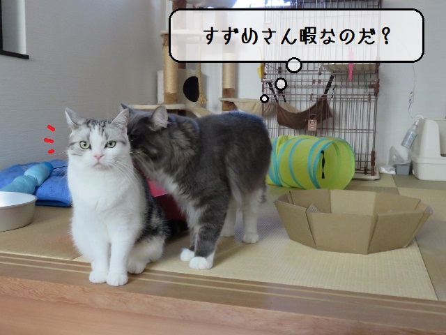 f:id:suzumesuzume:20201020154939j:plain