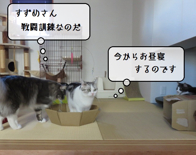 f:id:suzumesuzume:20201020154953j:plain
