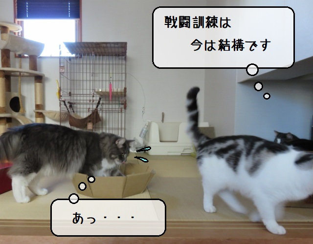 f:id:suzumesuzume:20201020155000j:plain
