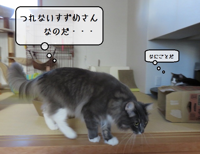 f:id:suzumesuzume:20201020155006j:plain